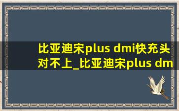 比亚迪宋plus dmi快充头对不上_比亚迪宋plus dmi快充头